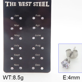 Stainless Steel Earrings  5E4001167ahlv-256