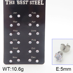 Stainless Steel Earrings  5E4001168vhov-256