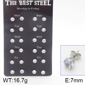 Stainless Steel Earrings  5E4001170biib-256