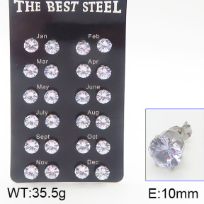 Stainless Steel Earrings  5E4001173ajia-256