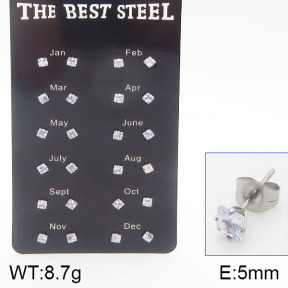 Stainless Steel Earrings  5E4001174vhov-256