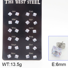 Stainless Steel Earrings  5E4001175vhov-256