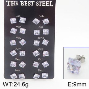 Stainless Steel Earrings  5E4001176bika-256