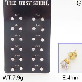 Stainless Steel Earrings  5E4001177vihb-256