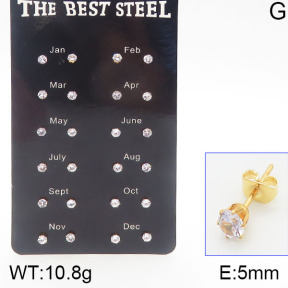 Stainless Steel Earrings  5E4001178biib-256