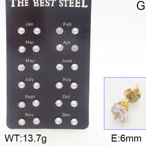 Stainless Steel Earrings  5E4001179bika-256