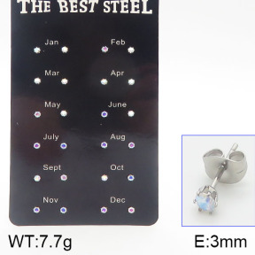 Stainless Steel Earrings  5E4001184aivb-256