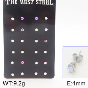 Stainless Steel Earrings  5E4001186aija-256