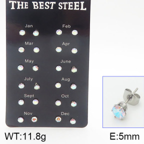Stainless Steel Earrings  5E4001187aima-256