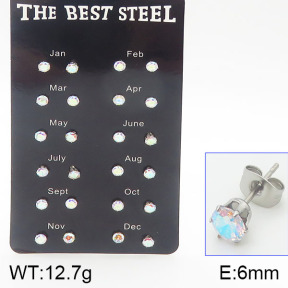 Stainless Steel Earrings  5E4001189bipa-256