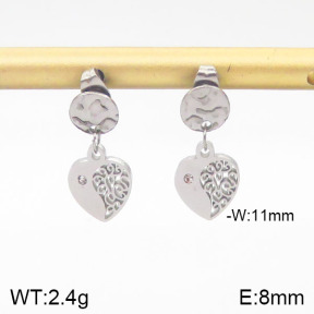 Stainless Steel Earrings  5E4001191vbll-706