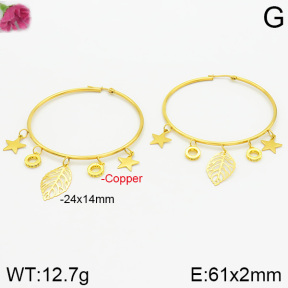 Fashion Copper Earrings  F2E400743vhkb-J48