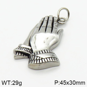 Stainless Steel Pendant  2P2000877bbov-239