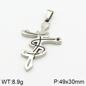 Stainless Steel Pendant  2P4000456vbnb-239