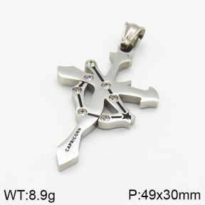 Stainless Steel Pendant  2P4000461vbnb-239