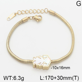 Stainless Steel Bracelet  5B3000709ahjb-721