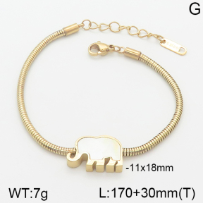 Stainless Steel Bracelet  5B3000710ahjb-721