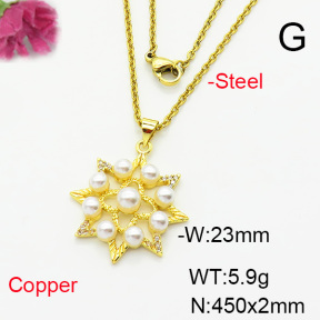 Fashion Copper Necklace  F6N404276baka-L002