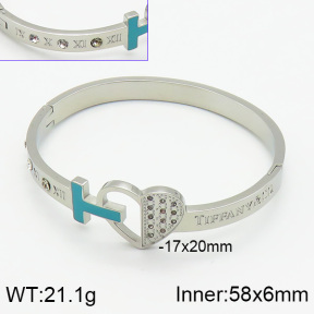 Tiffany & Co  Bangles  PZ0141440bhia-239