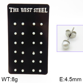 Stainless Steel Earrings  2E3000762bhia-256
