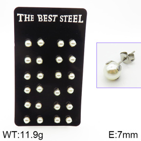 Stainless Steel Earrings  2E3000763vhov-256