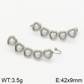Stainless Steel Earrings  2E3000775ablb-256