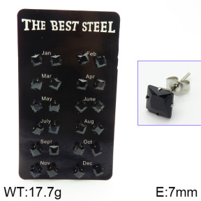 Stainless Steel Earrings  2E4001445ajia-256