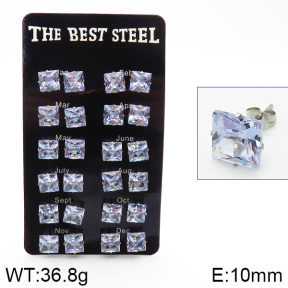 Stainless Steel Earrings  2E4001446ajma-256