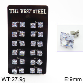 Stainless Steel Earrings  2E4001447ajvb-256