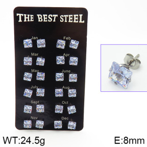 Stainless Steel Earrings  2E4001448aima-256