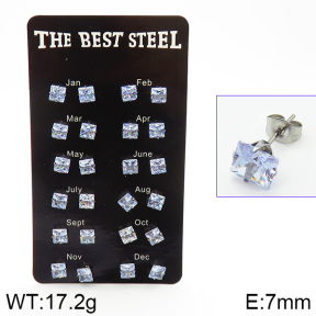 Stainless Steel Earrings  2E4001449bika-256