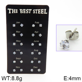 Stainless Steel Earrings  2E4001451vhov-256