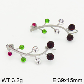 Stainless Steel Earrings  2E4001453ablb-256