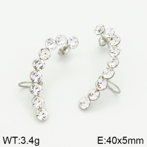Stainless Steel Earrings  2E4001454ablb-256