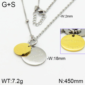 Stainless Steel Necklace  2N2001610ahlv-684