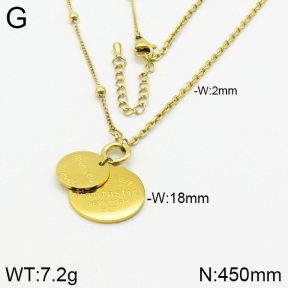 Stainless Steel Necklace  2N2001611ahlv-684