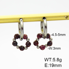 Stainless Steel Earrings  Garnet  6E4003389vbpb-908