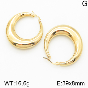 Stainless Steel Earrings  5E2001522bbov-475