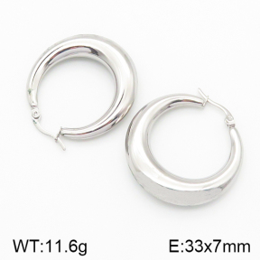 Stainless Steel Earrings  5E2001559vbnb-475