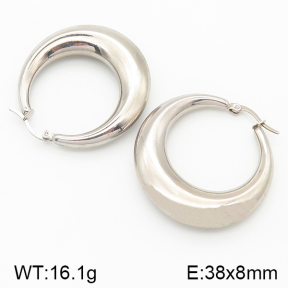 Stainless Steel Earrings  5E2001560vbnl-475