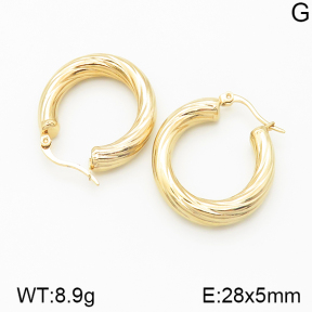 Stainless Steel Earrings  5E2001594ablb-475