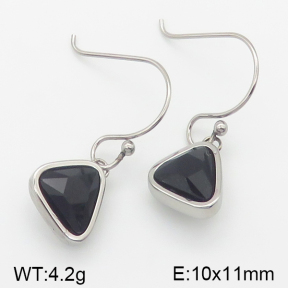 Stainless Steel Earrings  5E4001226vhkb-706