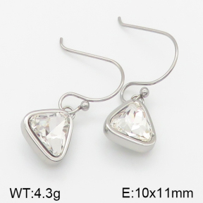 Stainless Steel Earrings  5E4001228vhkb-706