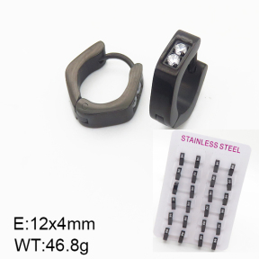 Stainless Steel Earrings  5E4001230bnib-387