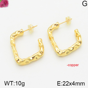 Fashion Copper Earrings  F5E200151vhha-J40