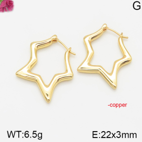 Fashion Copper Earrings  F5E200161vhha-J40