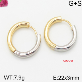 Fashion Copper Earrings  F5E200162vhha-J40