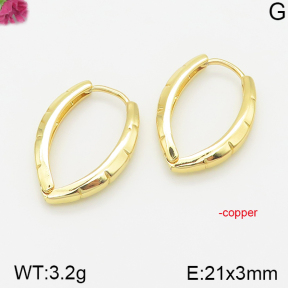 Fashion Copper Earrings  F5E200163vhha-J40