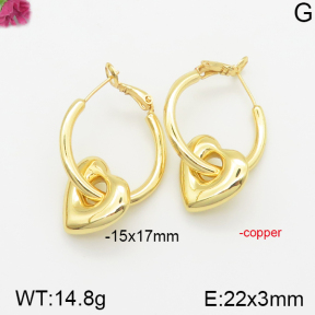 Fashion Copper Earrings  F5E200164bhia-J40