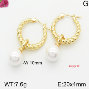 Fashion Copper Earrings  F5E300228bhia-J40